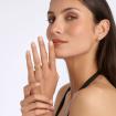 alliance-polychrome-ruban-double-diamante-guepier-jrpt-6